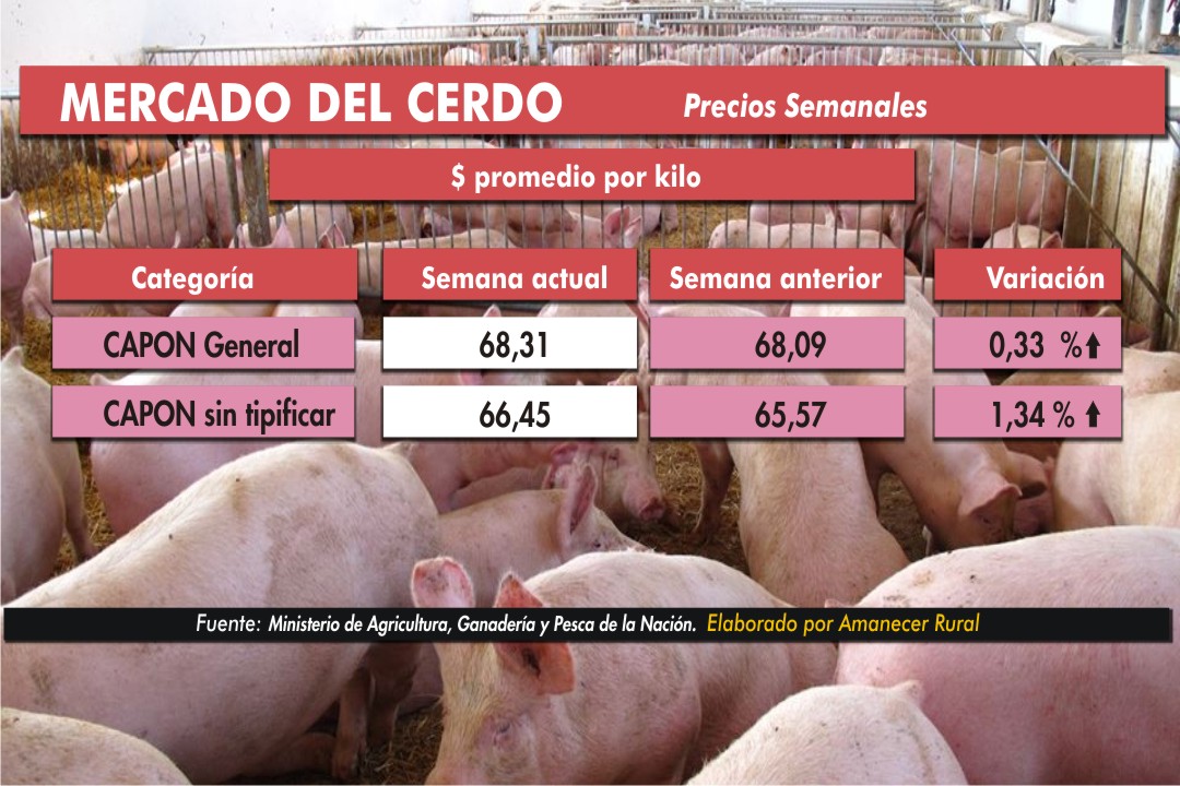 http://www.amanecerrural.com.ar/admin/archivos/20200310051944_01._MERCADO_DE_PORCINOS_1..jpg