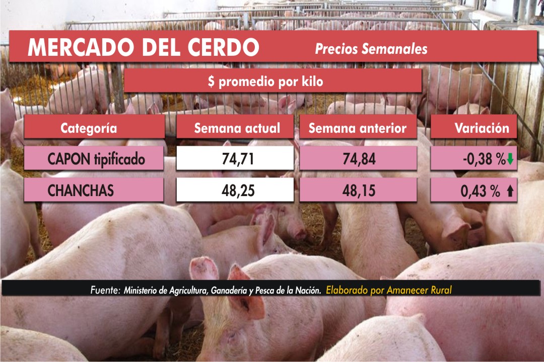 http://www.amanecerrural.com.ar/admin/archivos/20200310052029_02._MERCADO_DE_PORCINOS_2..jpg